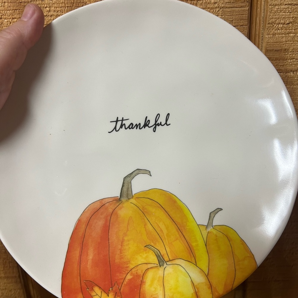 Rae Dunn melamine thanksgiving plates set of 2